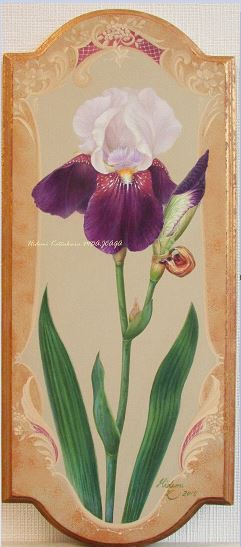 アイリスのボタニカルアートの画集から、1964年 （花 絵 植物画